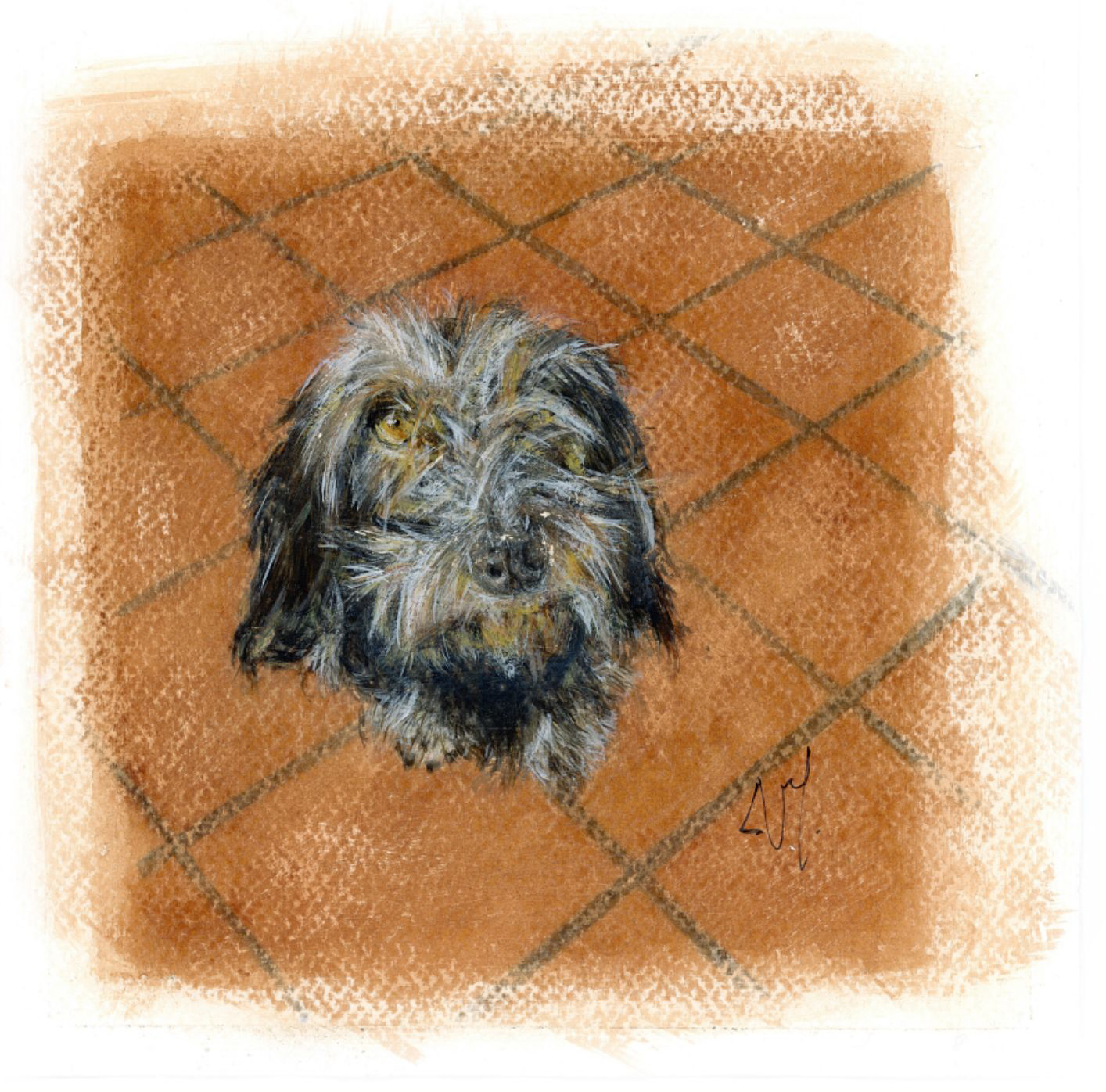 láminas de mascotas personalizadas